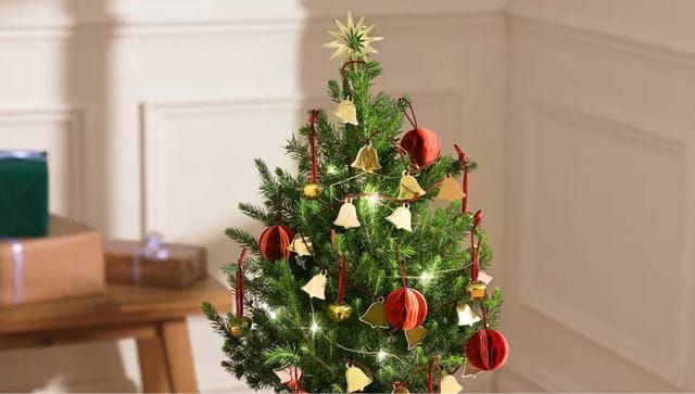 mini bloom and wild christmas tree